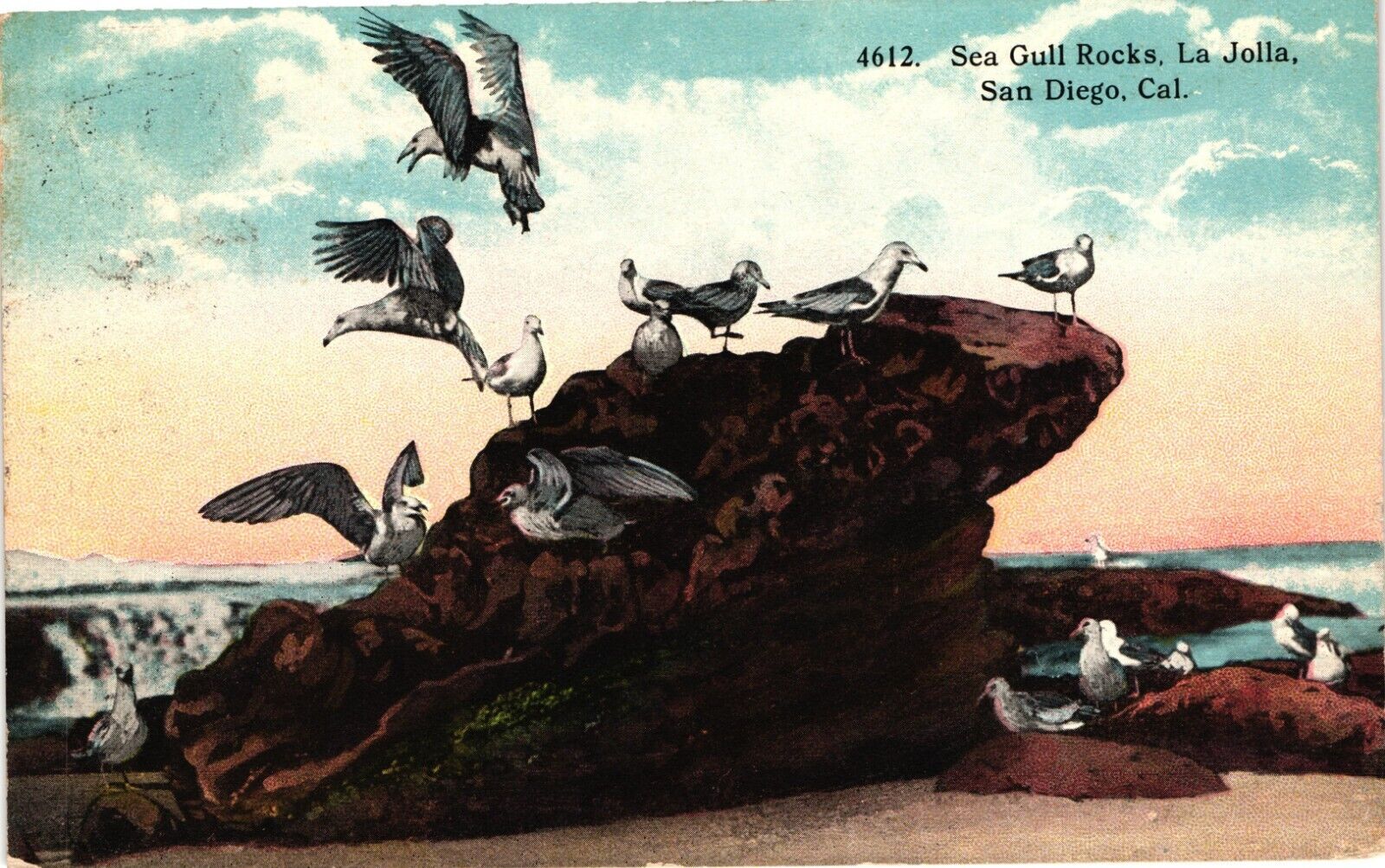 CALIFORNIA San Diego La Jolla Sea Gull Rocks CA c1924 Postcard