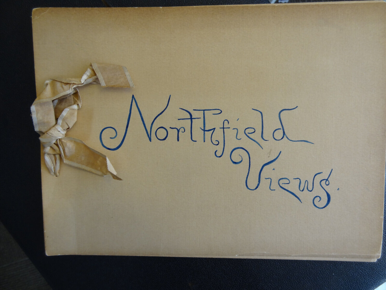 9 cyanotypes 7.5 x 4.5 ca 1890\'s  Northfield Massachusetts pristine album , $250