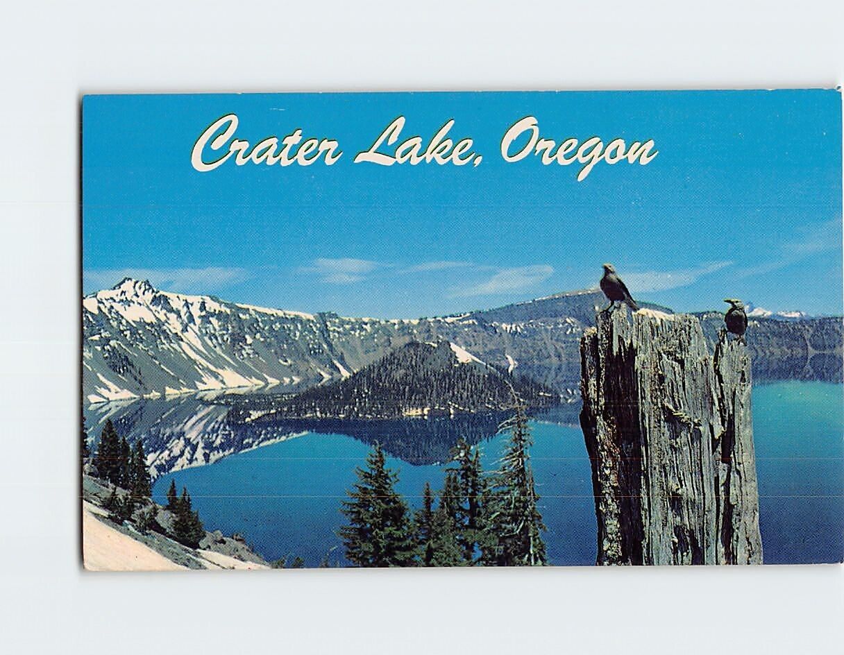 Postcard Clarks Nutcracker Crater Lake Oregon USA
