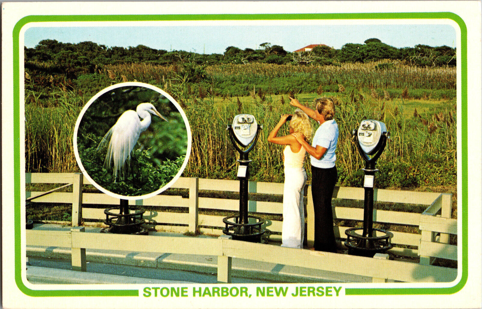 VTG Postcard, Stone Harbor , New Jersey, Bird Santurary , Unused