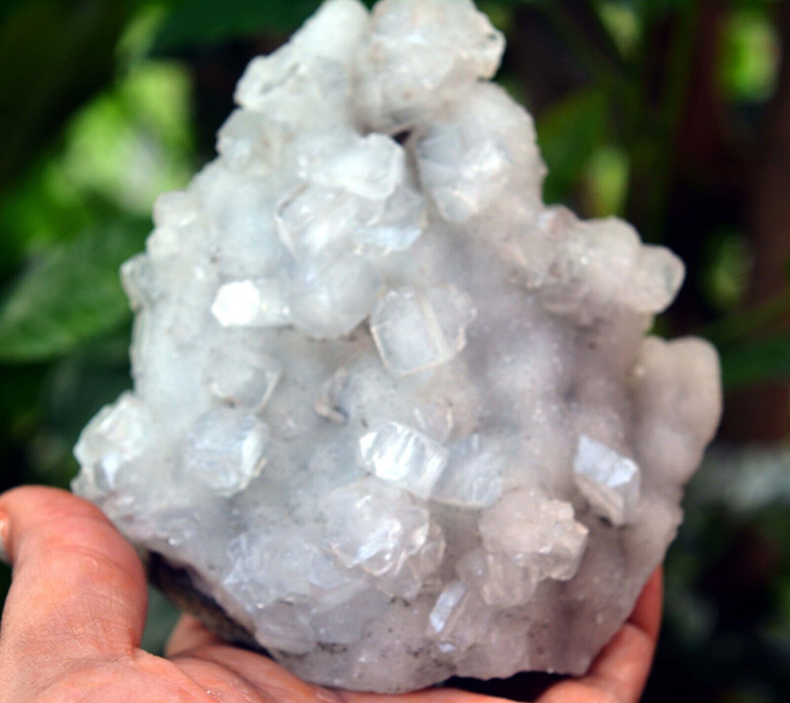 APOPHYLLITE Crystals On CHALCEDONY Matrix Minerals D-12.23