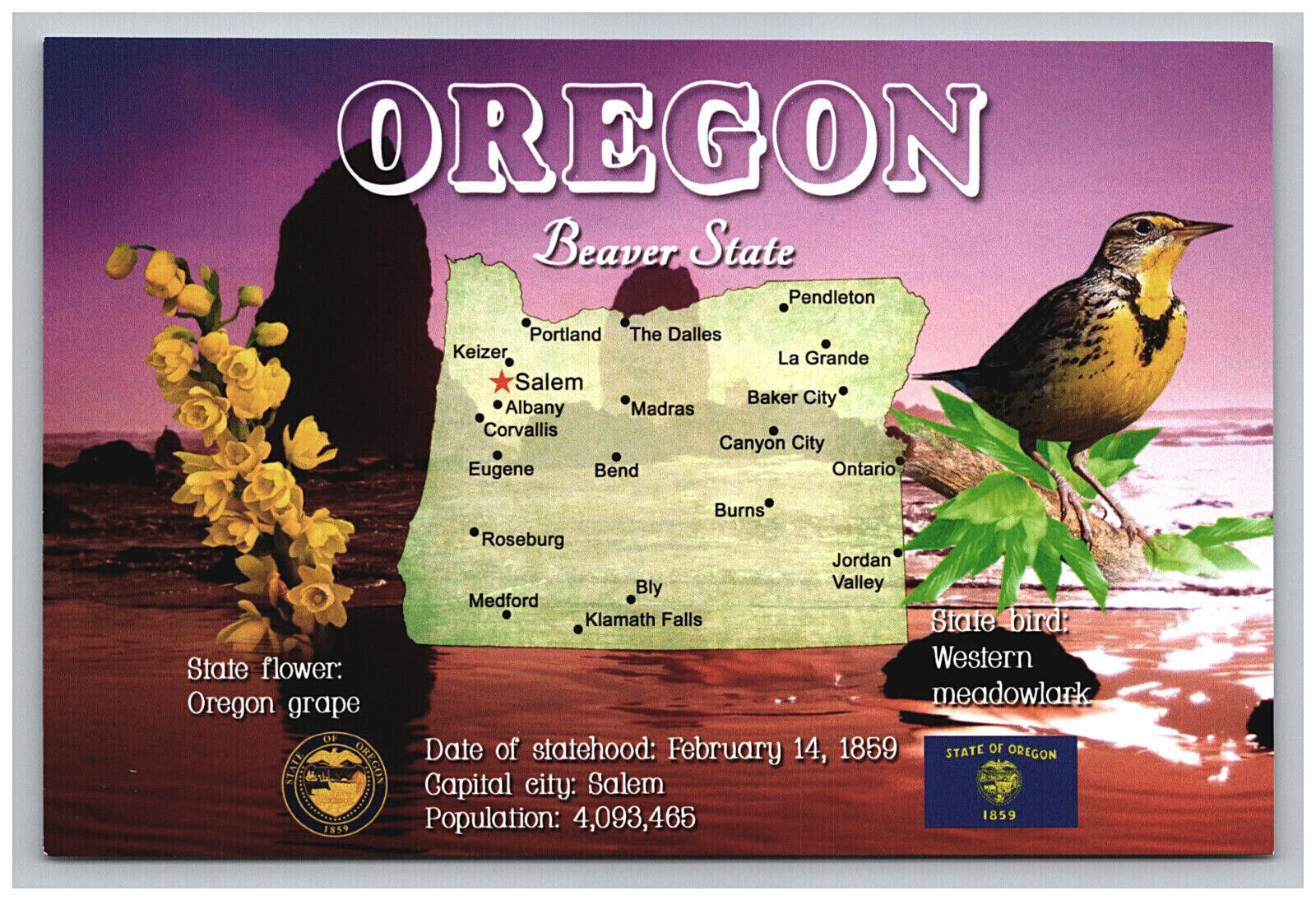 Postcard 4x6 OR Beaver State Map Bird Flower Advertising View Oregon  