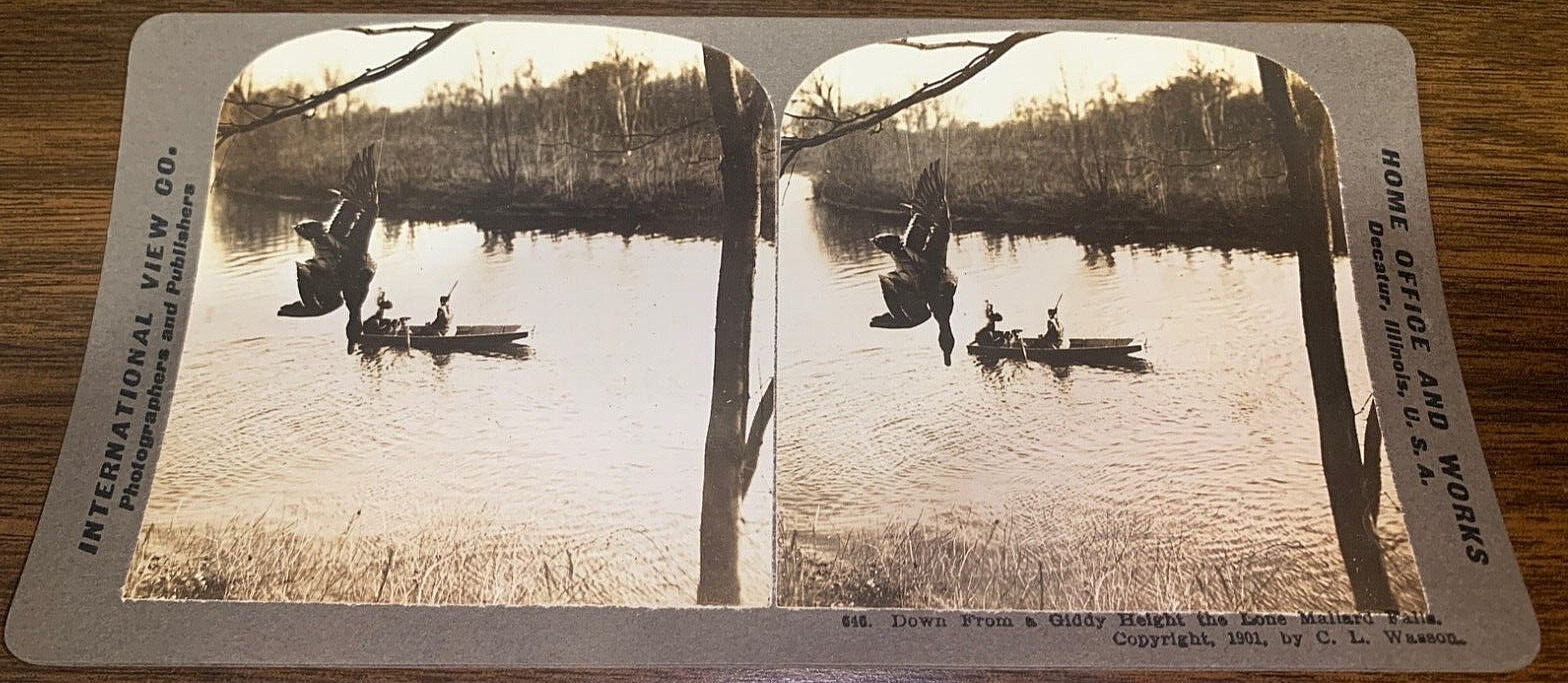 Stereoview 1901 Duck Hunting From A Giddy Height Long Mallard Falls CL Wasson