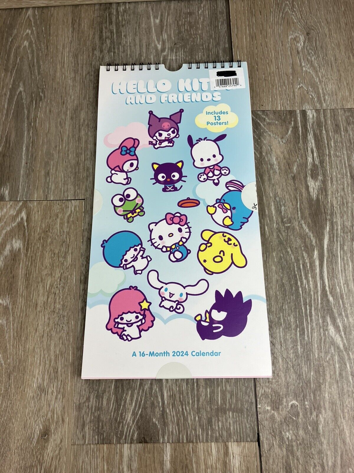Hello Kitty And Friends Mini Poster Wall Calendar 16 Month 2024 Spiral Bound