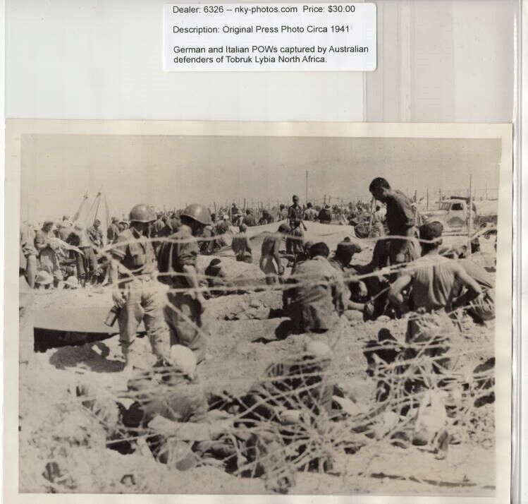 1941 German and Italian POWs Captured by Australians Tobruk Original News Photo