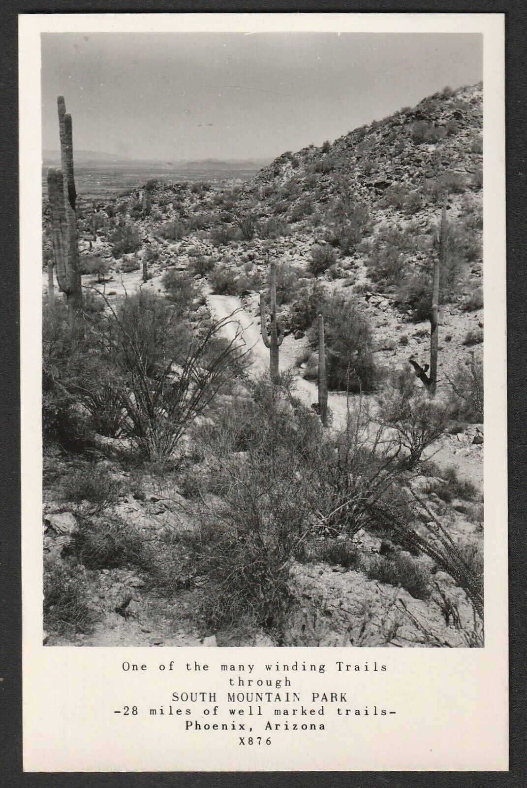 South Mountain Park 28 Miles Trails Phoenix Arizona Vintage Chrome Postcard A77
