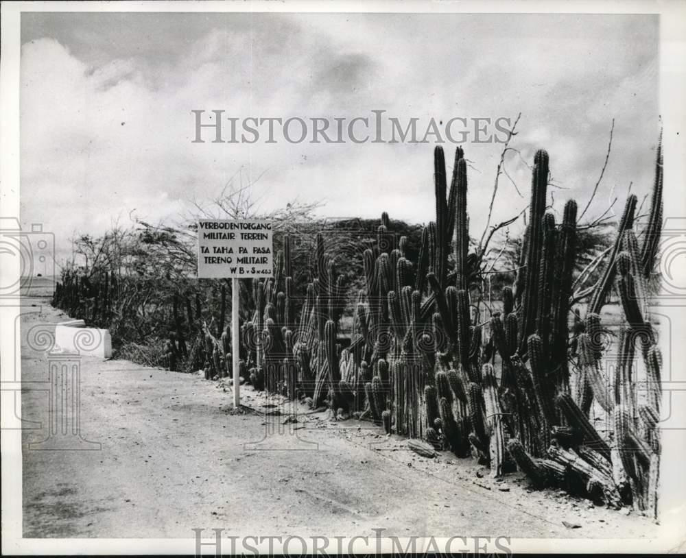 1942 Press Photo Cactus fences & sign near US Air Force base in the Caribbean