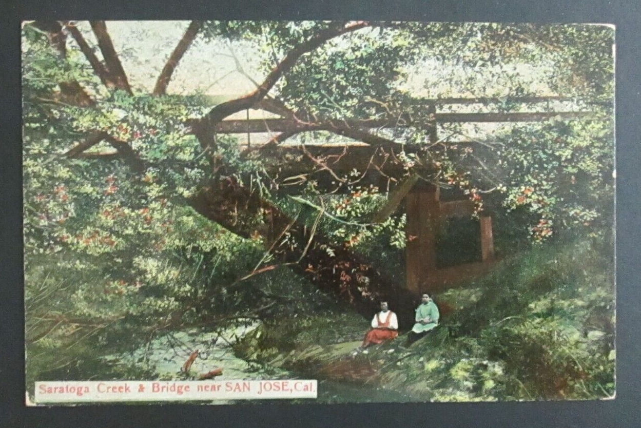 Saratoga Creek and Bridge near San Jose CA Unposted DB Postcard