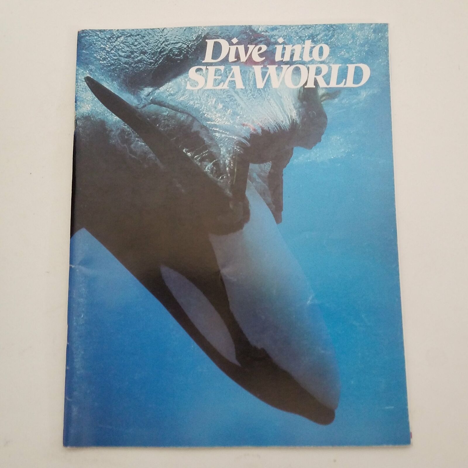 Dive Into Sea World 1989 Sea World Inc.