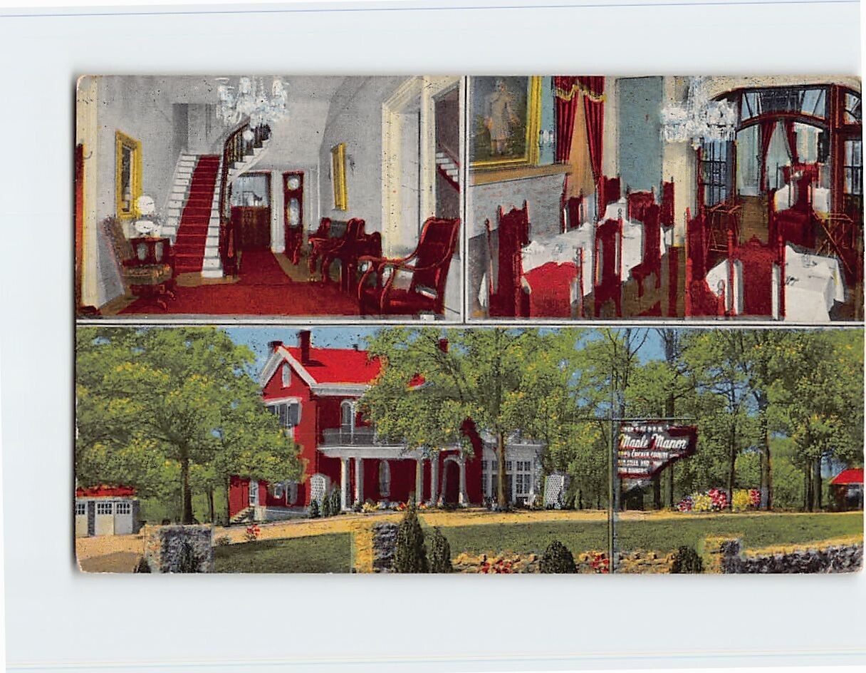Postcard Maple Manor Tennessee USA