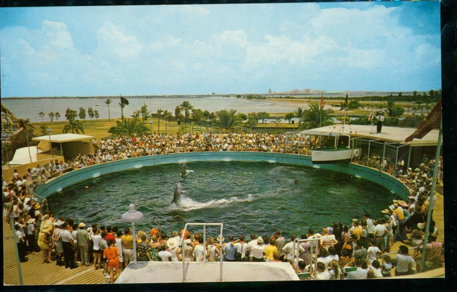 Miami\'s Fabulous Seaquarium Miami Florida FL Postcard Chrome