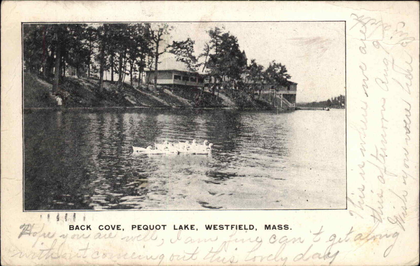 Westfield Massachusetts MA Lake Ducks c1900s-10s Postcard