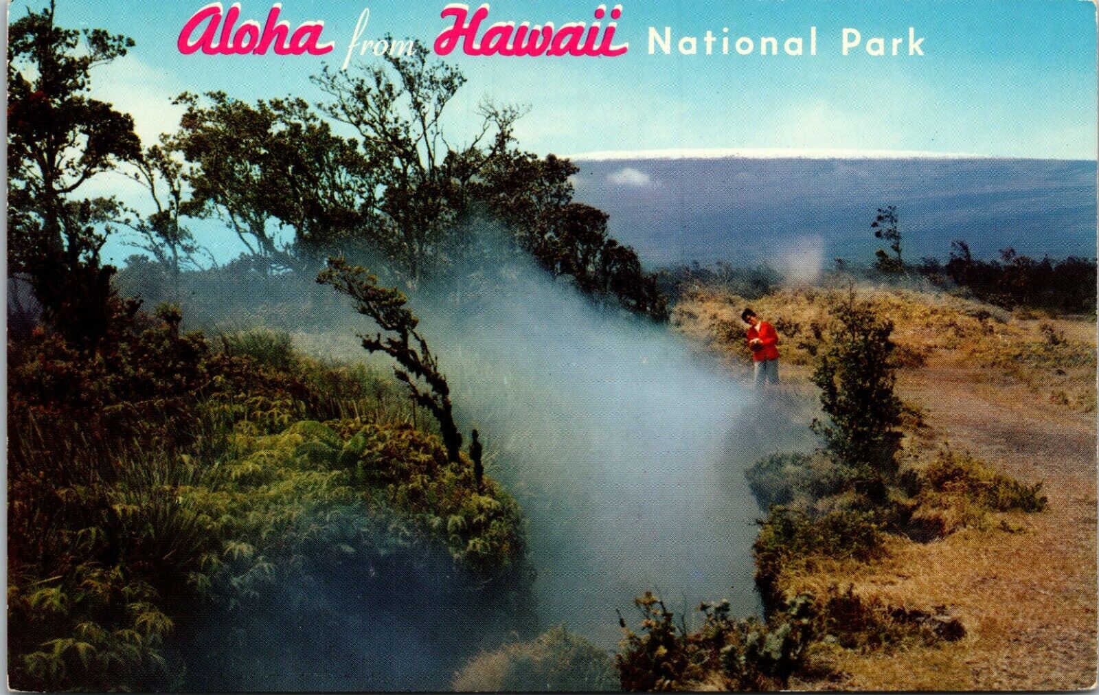 Hawaii National Park HI Steam Crack Volcanic Heat From Kilauea Volcano Postcard