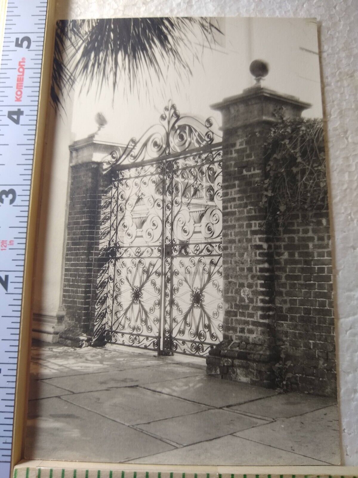 Postcard Vintage Photo of a Gate with Intricate Design