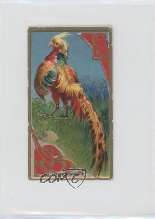 1910 ITC of Canada Game Bird Series C14 Pheasants #7 z6d