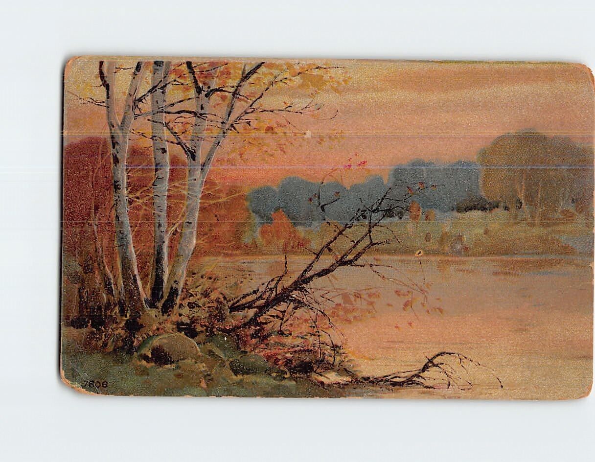 Postcard Nature Trees Lake Landscape Scenery