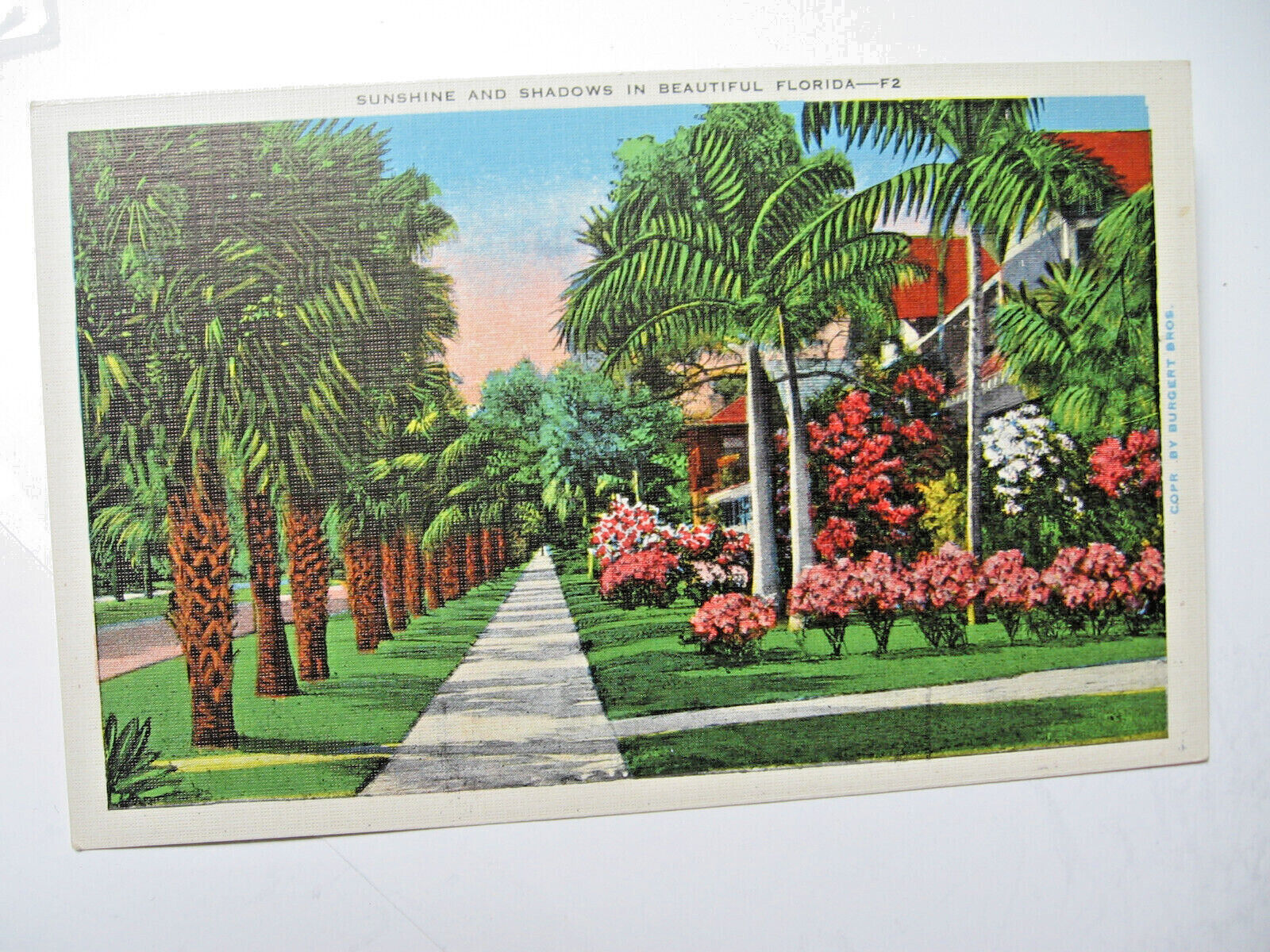 1937 Sunshine and Shadows in Beautiful Florida Postcard
