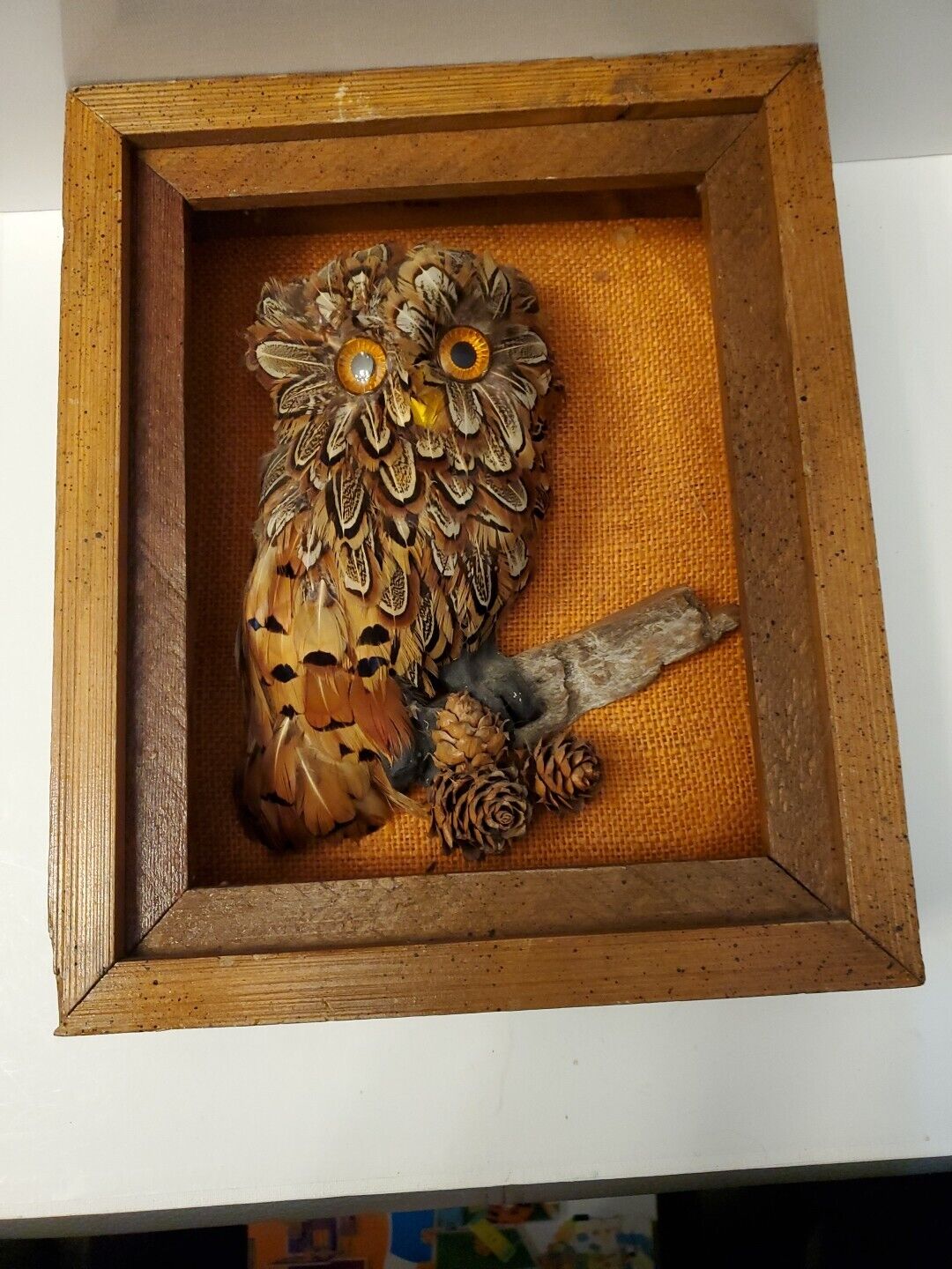 Handmade Realistic Feathered Owl Wall Hanging Vtg. Shadowbox Cypress Wood Frame