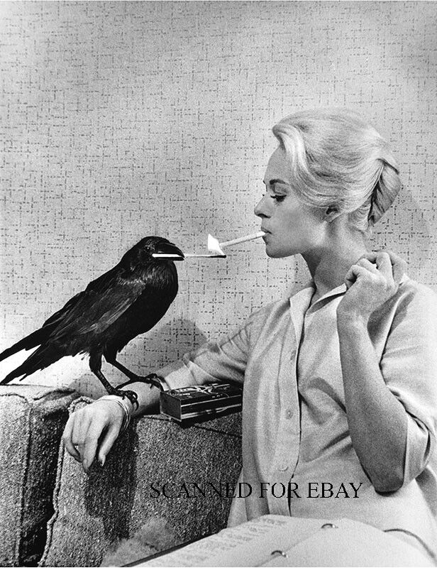 TIPPI HEDREN Alfred Hitchcock movie THE BIRDS picture publicity photo print RC77