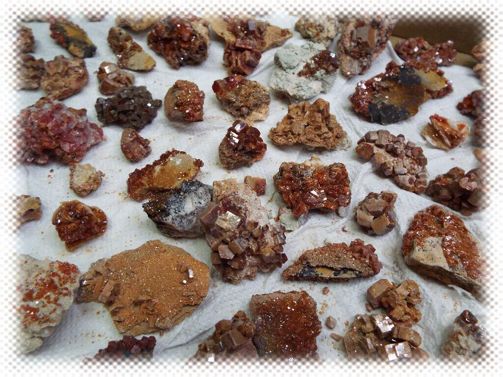 50pc Whole Flat Collection  -  Vanadinite on Matrix Crystal Specimen Lot Morocco
