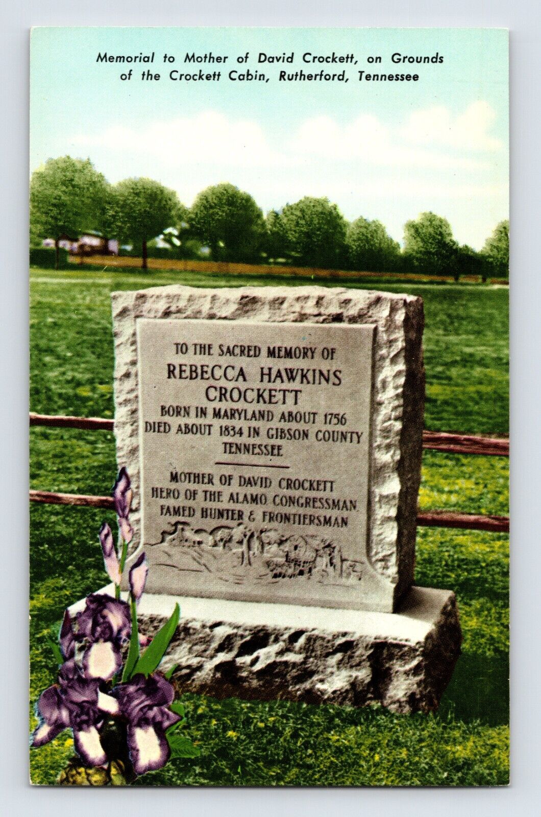 Postcard Tennessee Rutherford TN Rebecca Crockett Grave 1950s Unposted Chrome