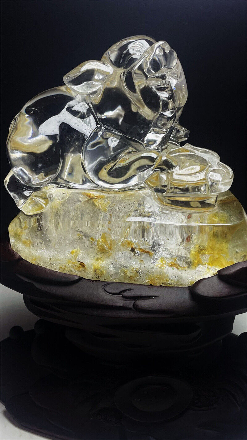 8.73LB Natural Yellow Gumflower Clear Quartz Crystal Hand Carved Pig Skull+stand