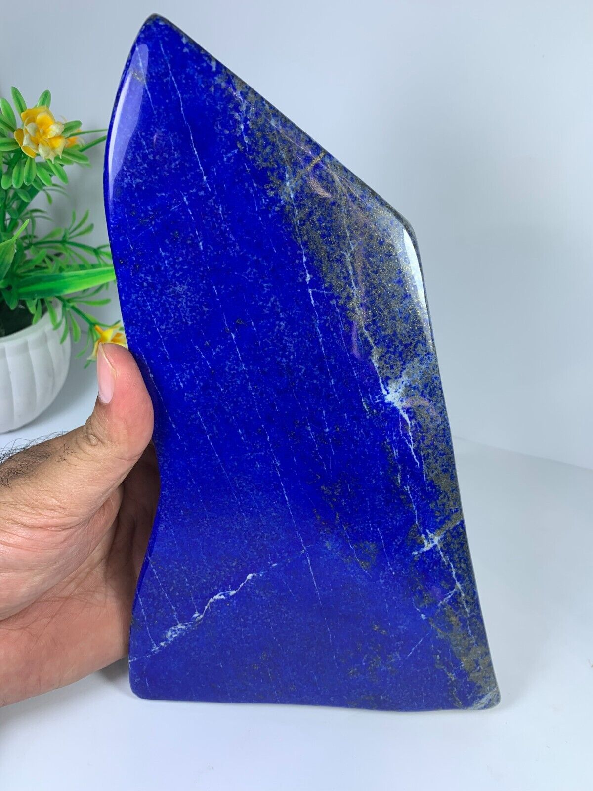 1.3kg ONESIDE Lapis Lazuli Freeform Polished Rough Tumble Crystal Specimen Stone