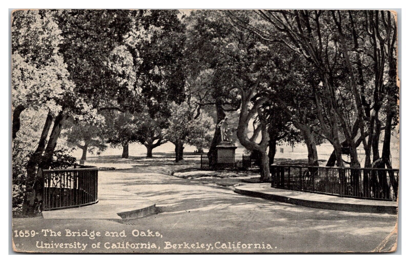 The Bridge and Oaks, University of California, Berkeley, California Postcard