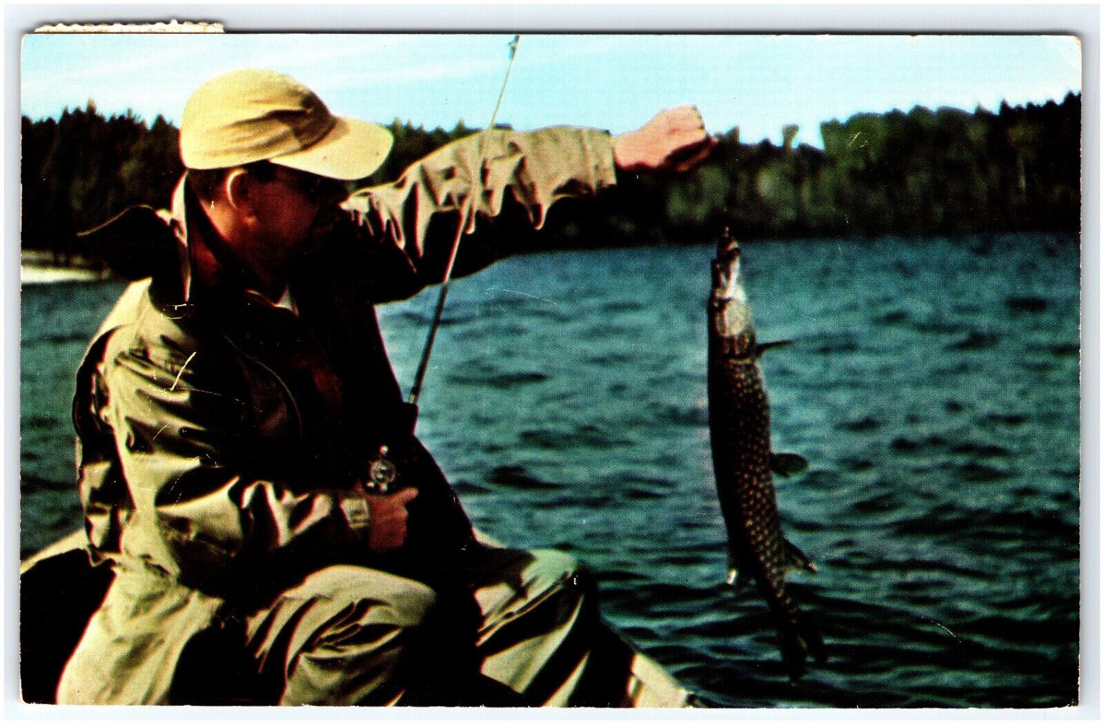 FISHERMAN CATCHING A NORTHERN PIKE POSTED 1958 WALKER MINNESOTA POSTCARD