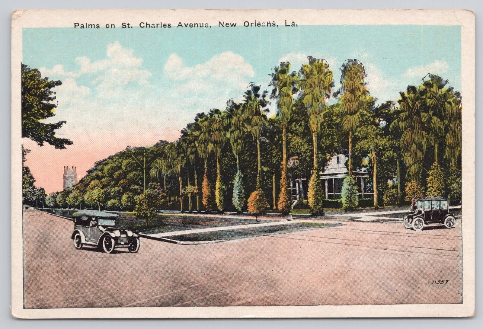 New Orleans Louisiana LA Palms on St Charles Avenue 1920s Cars Postcard