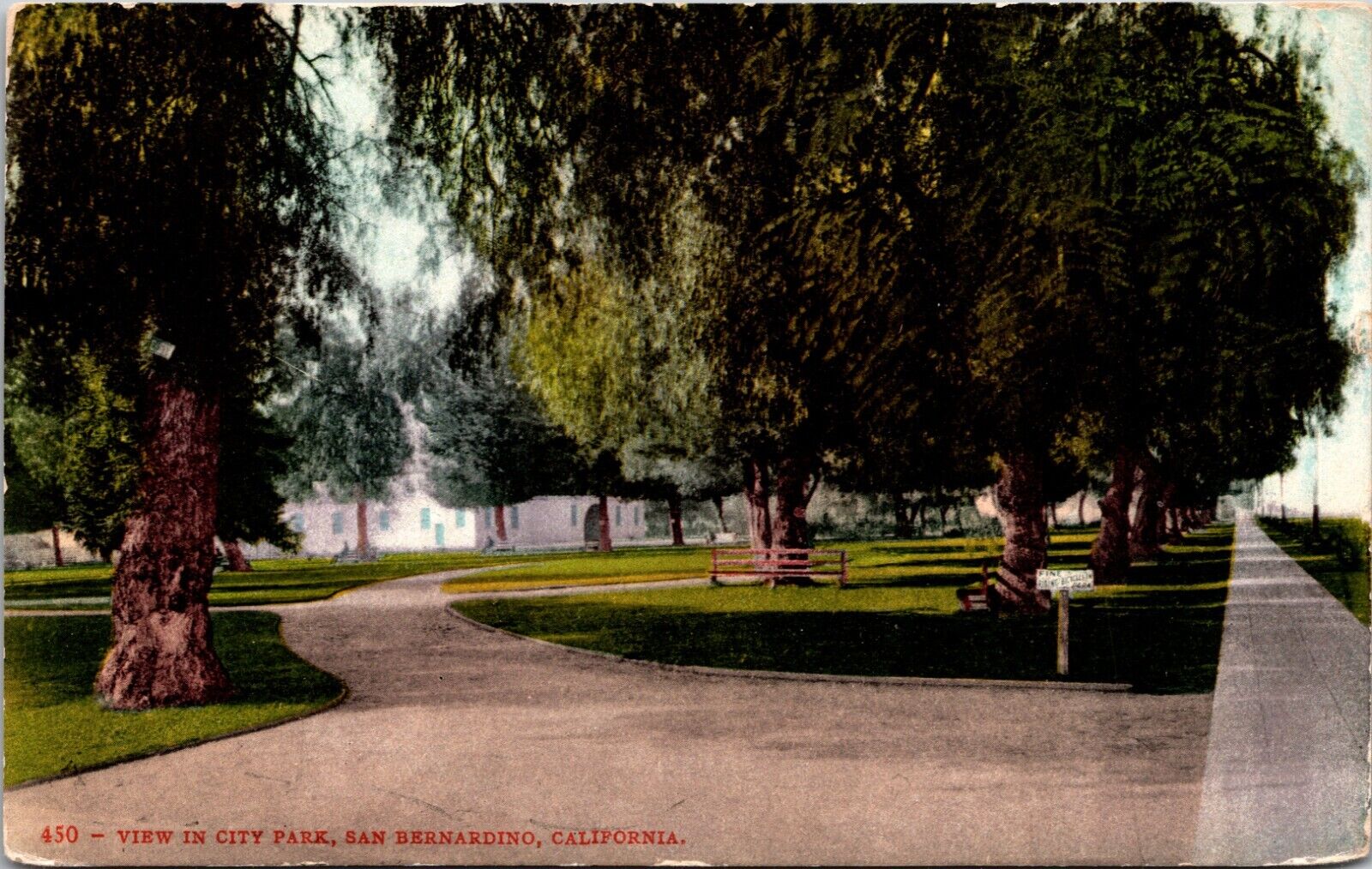 1908 City Park San Bernardino California CA Vintage Postcard L3