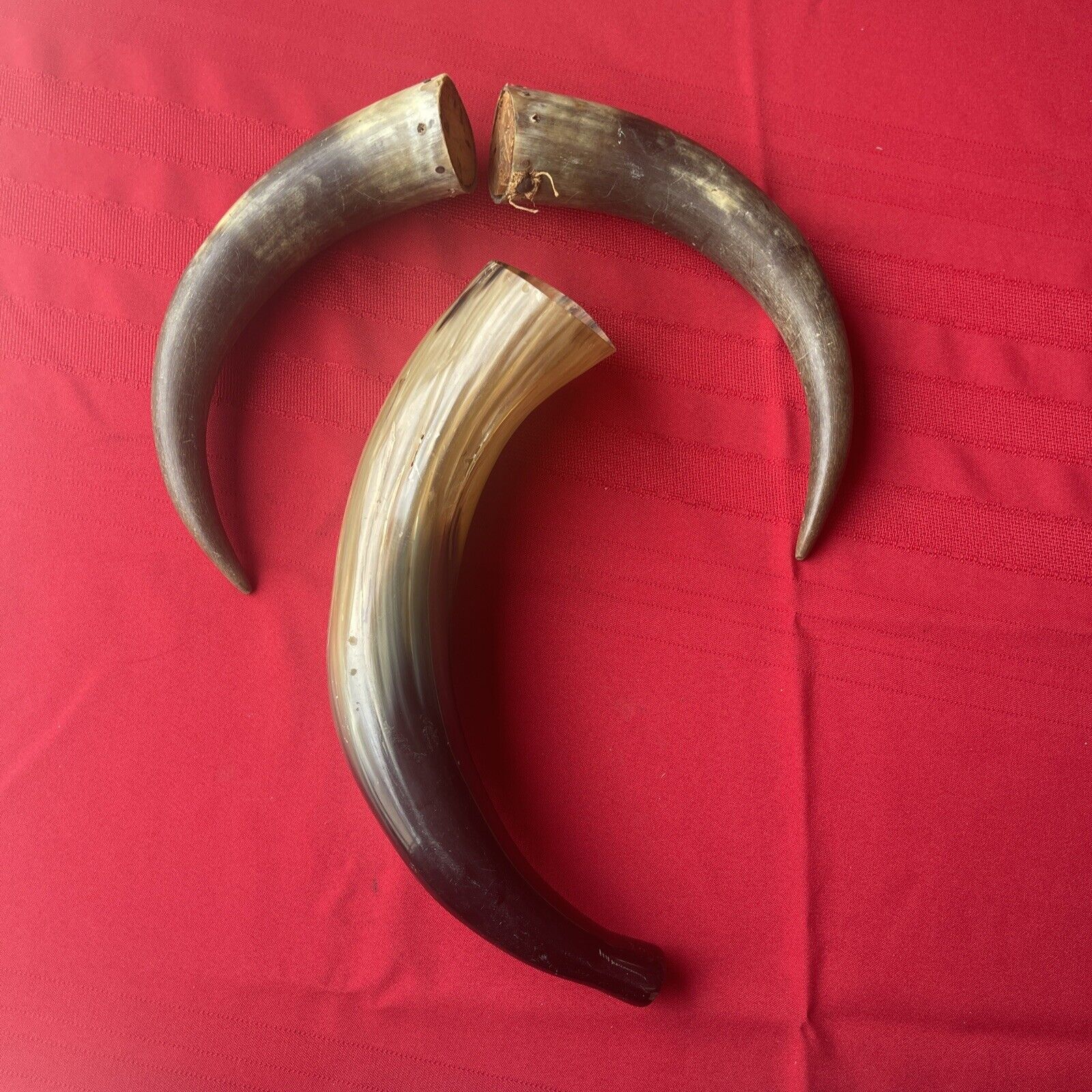 Three Large Vintage Horns -possible Powder horns?