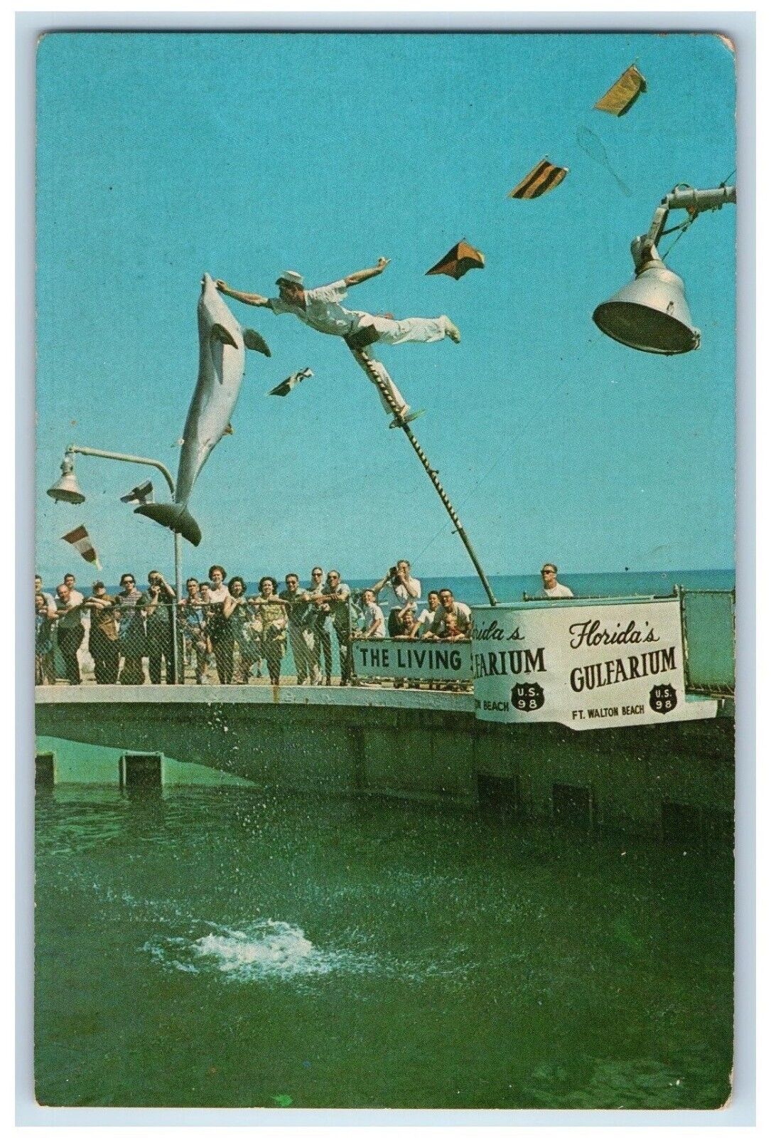 c1960's Feeding Time Gulfarium Walton Beach Florida Vintage Antique Postcard
