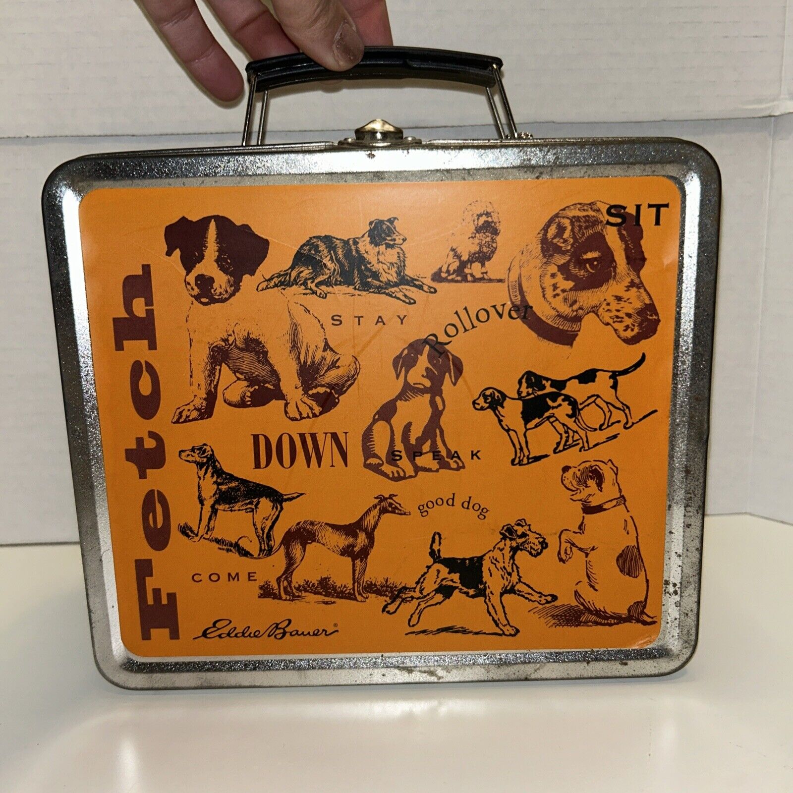 Very Cool Vintage Eddie Bauer Metal Puppy Themed Lunch Box