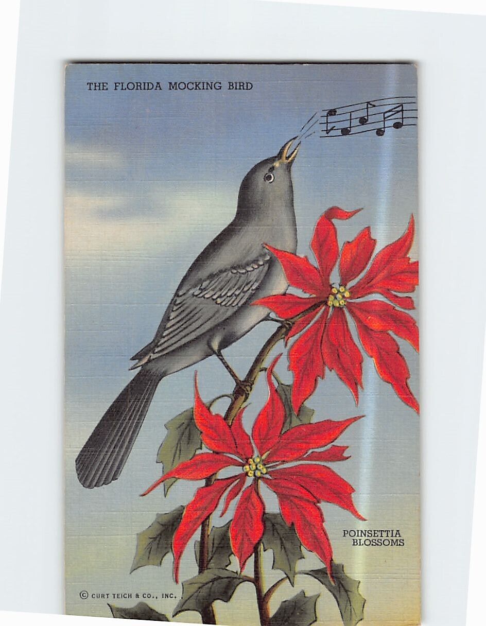 Postcard Poinsettia & Mocking Bird The State Flower & Bird of Florida USA