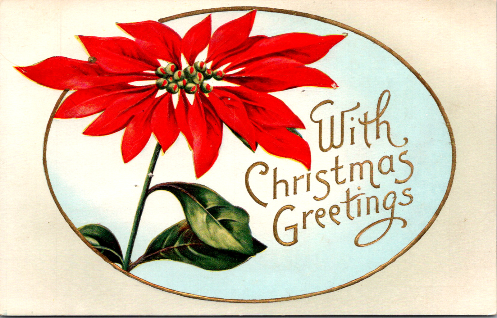 Vintage C 1910 With Christmas Greetings Bright Red Poinsettia Blank Postcard