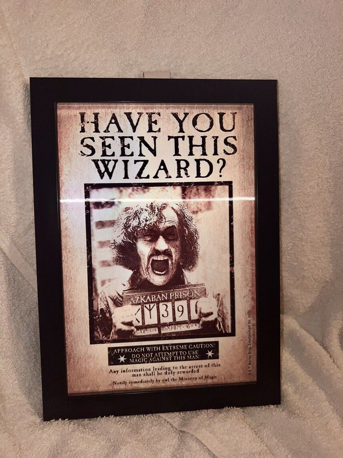 Harry Potter WB Wizarding World Black Lenticular Shifting Framed Wall Art New
