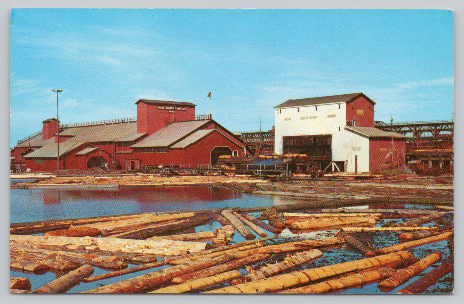 Postcard Logging Main Sawmill and Barker Union Lumber Company Fort Bragg CA