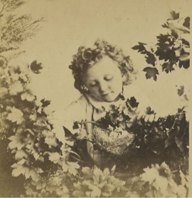 1890s Young Girl Looking at Bird\'s Nest with Baby Birds Stereoview 9-18