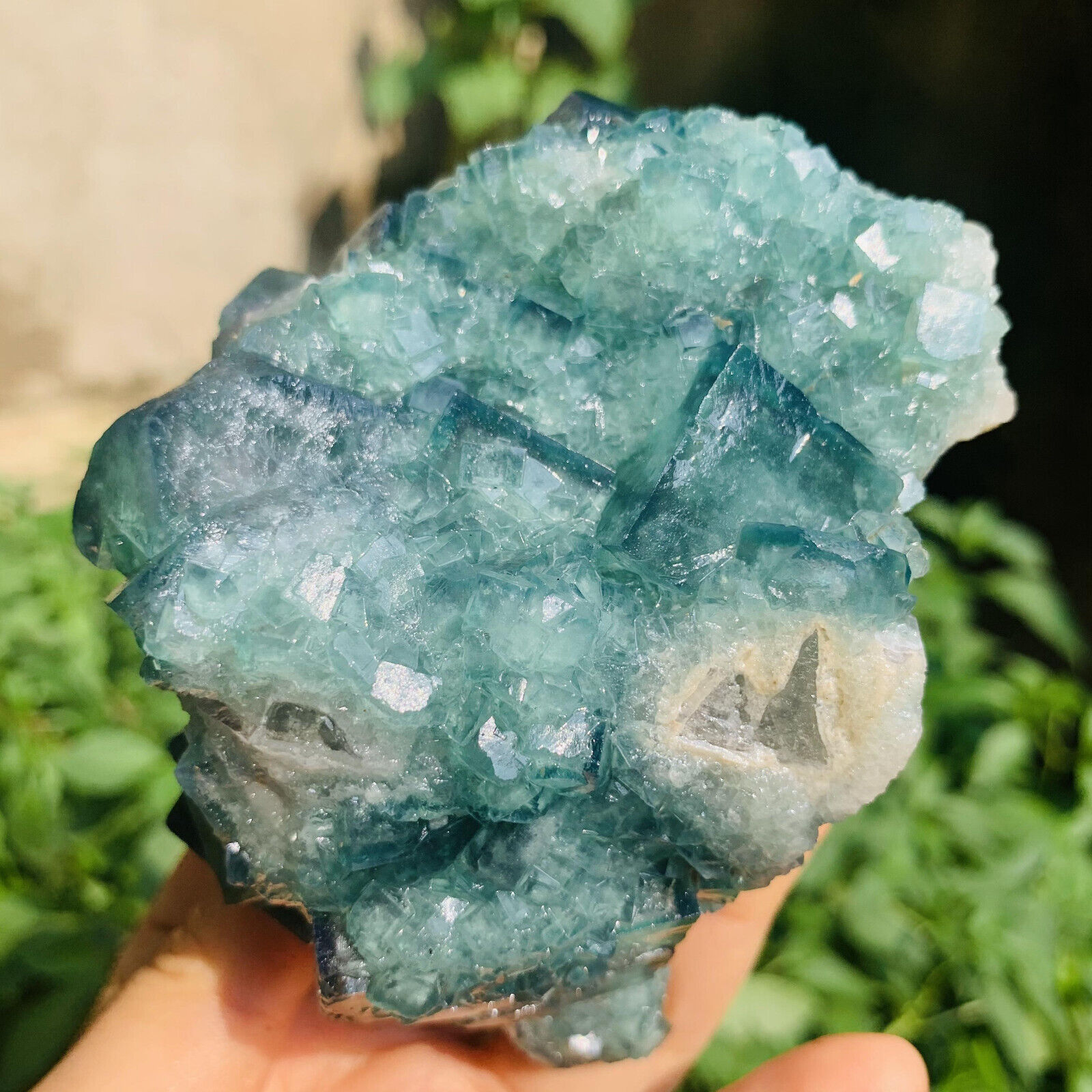1.46LB NATURAL Green Cube FLUORITE Quartz Crystal Cluster Mineral Specimen