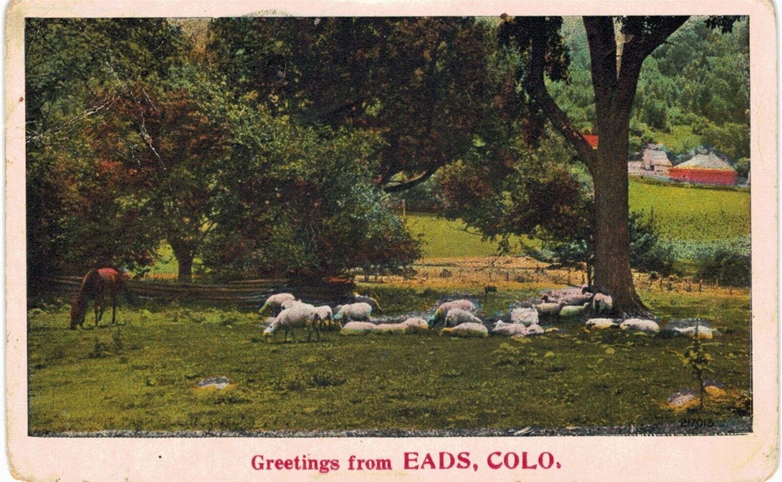 Eads Greetings Sheep 1910 CO 