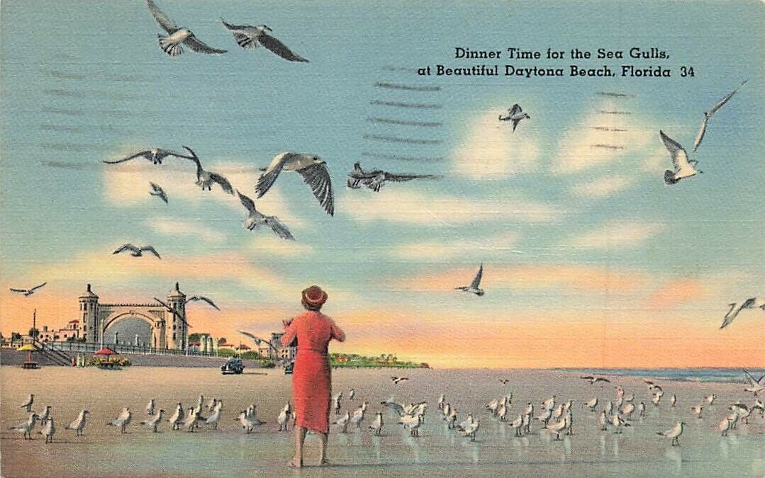 c1940s  Feeding Seagulls Linen Daytona Beach  Florida  P381