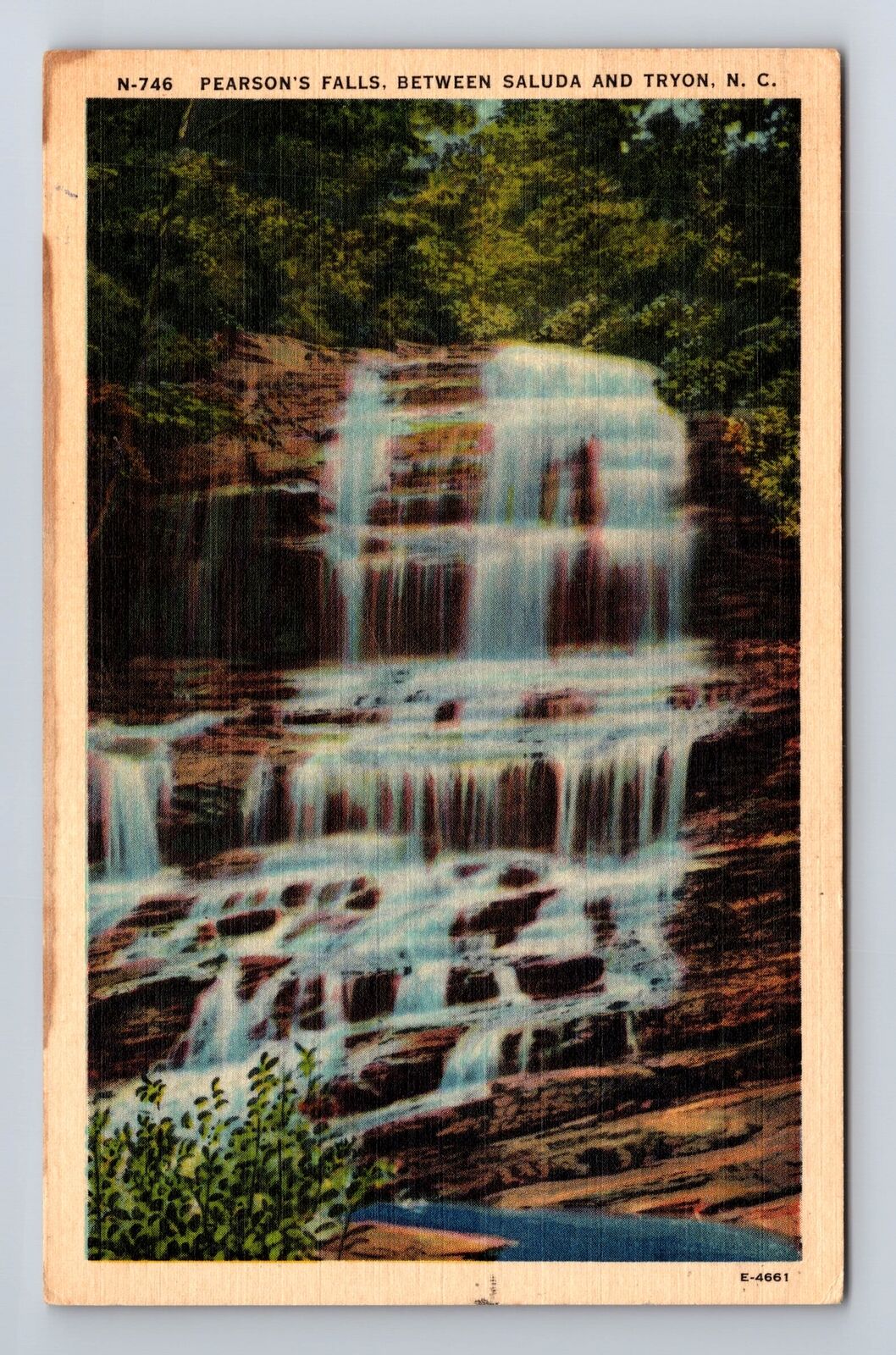Tryon NC-North Carolina, Pearson\'s Falls, Scenic View, Antique Vintage Postcard