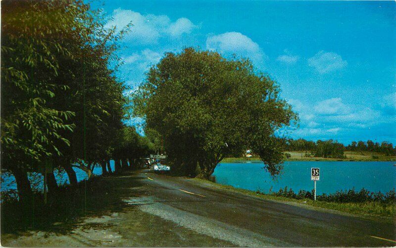 Minocqua Wisconsin 1950s The Willows Wyman Dexter Postcard 21-7799