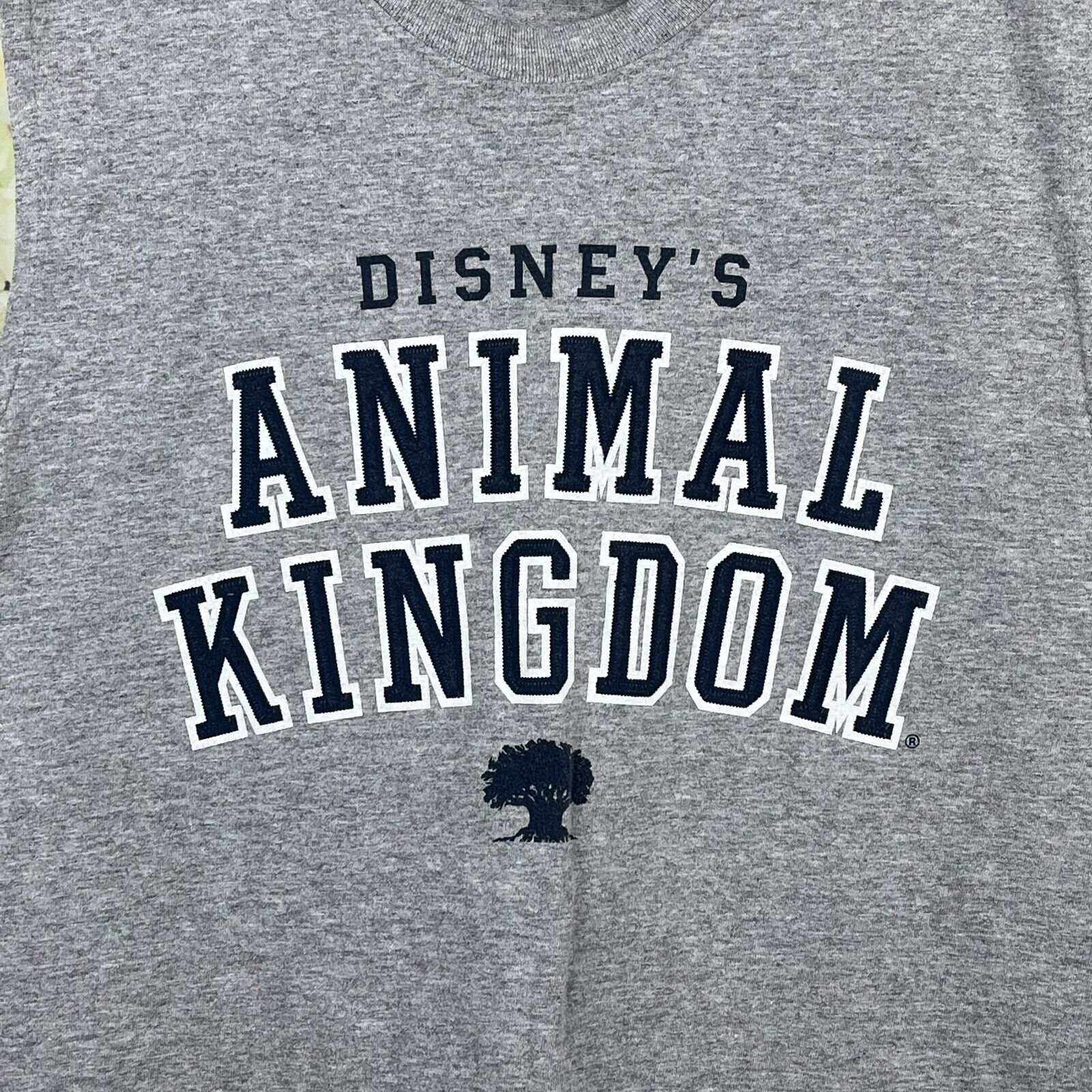 Walt Disney World Sleeveless Shirt Men’s XL Animal Kingdom X-LARGE Vintage