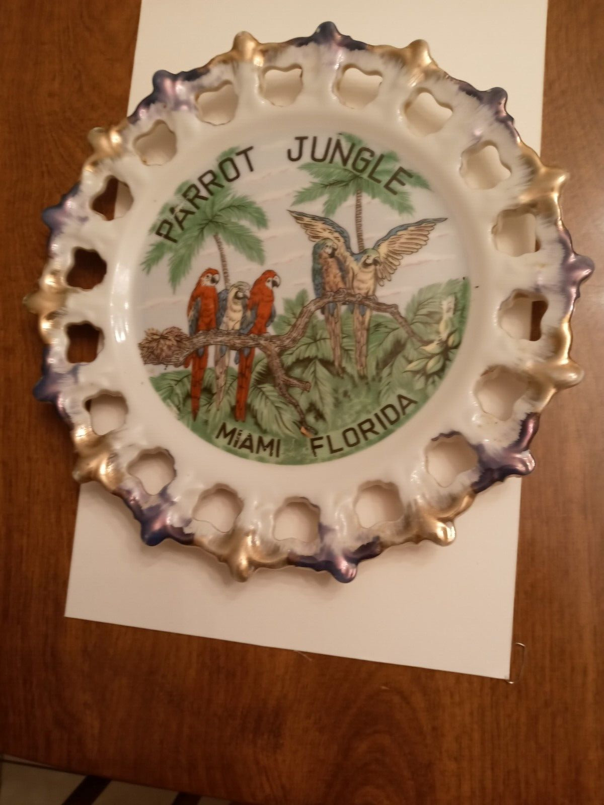 C1960s Souvenir decorative plate Parrot Jungle Miami Florida