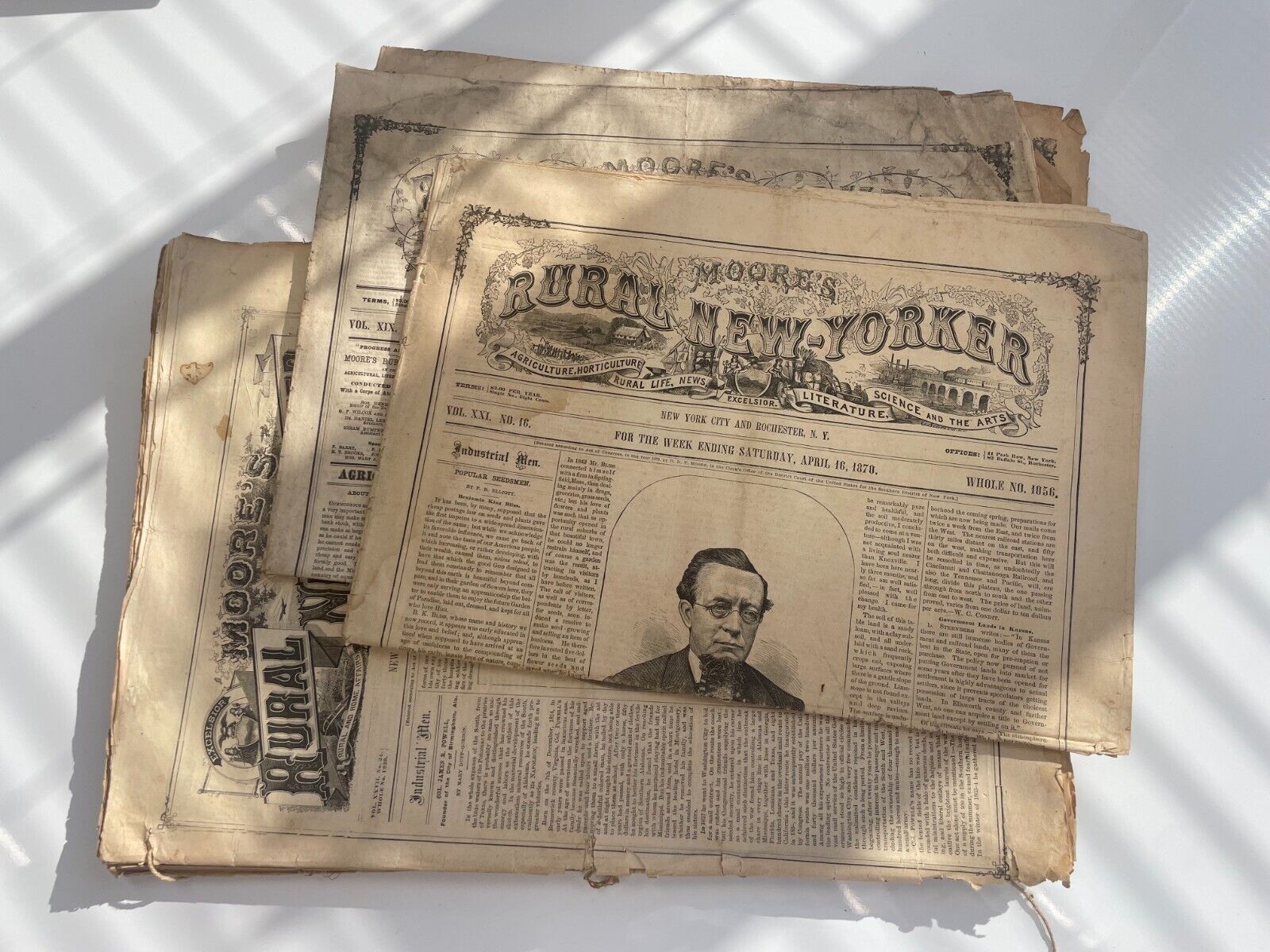 PRE-1900 MOORE'S RURAL NEW-YORKER NEWSPAPERS - Lot of 14