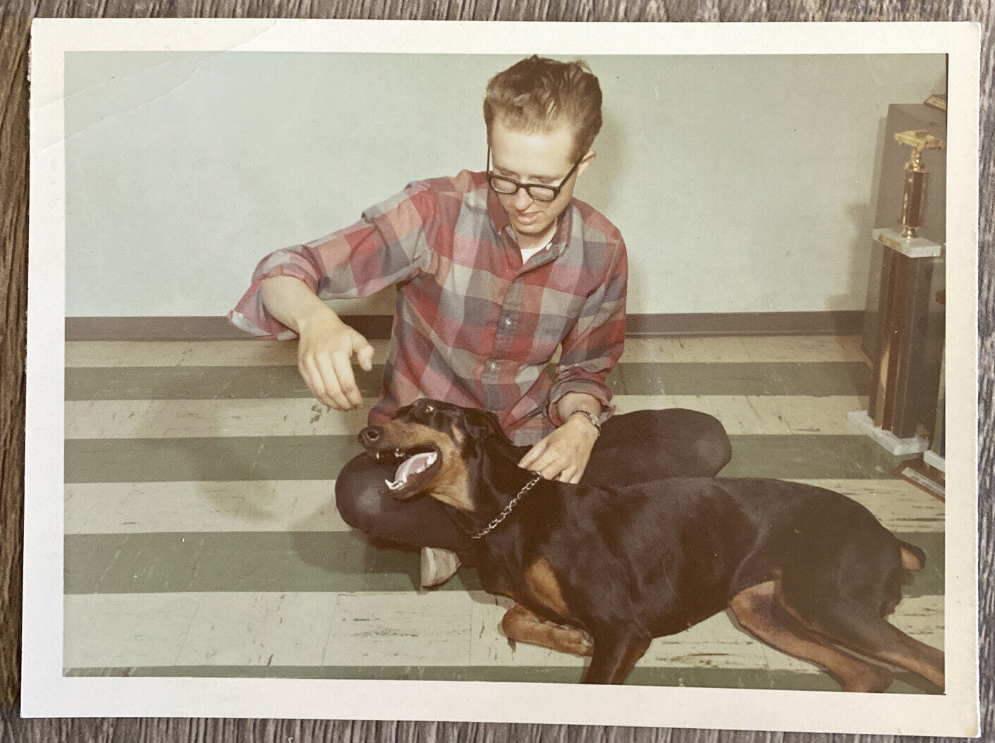 Vintage 1960s Found Photograph Man in Black Frame Glasses Plays W/ Doberman Dog