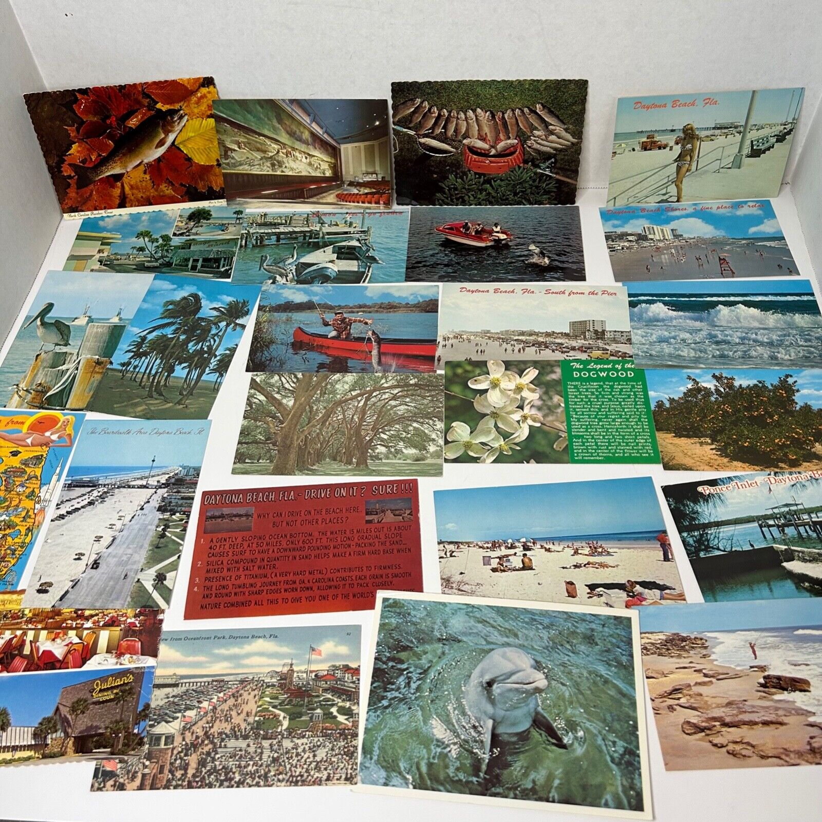 Vintage Florida Postcards Lot of 50 #1