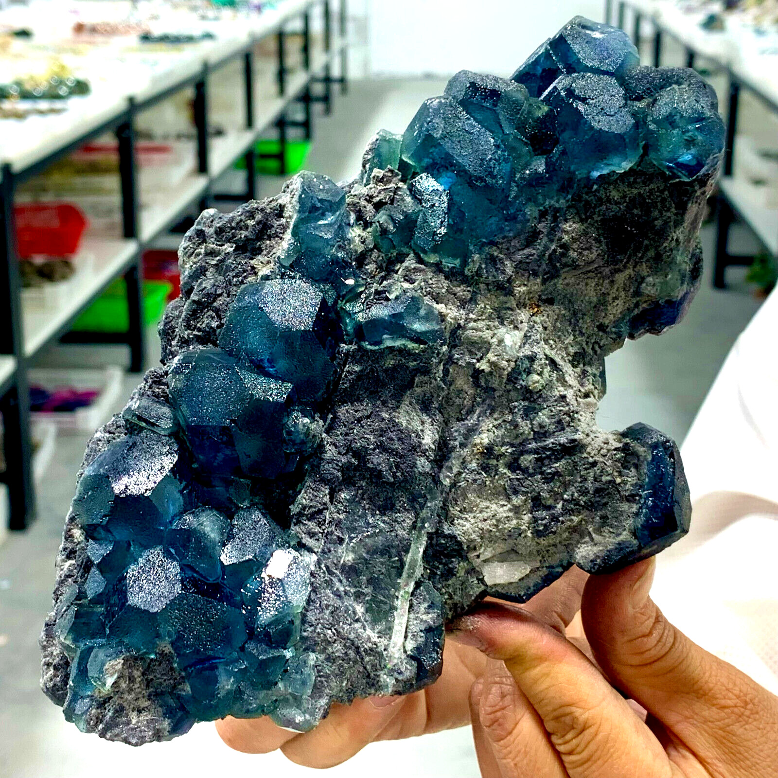2.52LB Rare blue-green cubic fluorite mineral crystal sample/China
